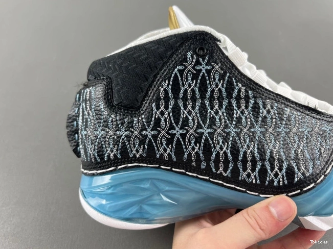 Cheap TBK 23 UNC Jordan 318376-041 0825
